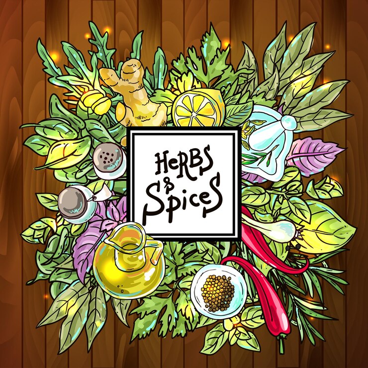 Vector hierbas y especias