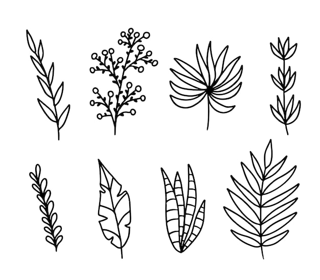 Vector hierbas y plantas en estilo garabato dibujado a mano colección de objetos vectoriales de flores silvestres y hierbas