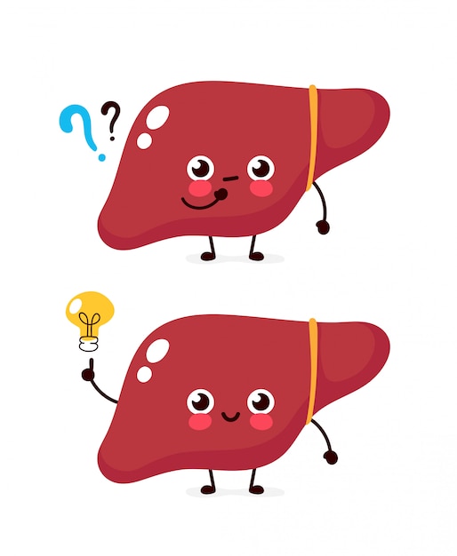Hígado lindo con signo de interrogación y carácter de bombilla. Icono de ilustración de personaje de dibujos animados plana. Aislado en blanco Útero tiene idea