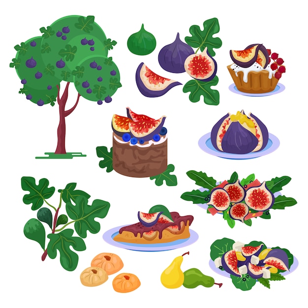 Higo alimentos frutados frescos e higos maduros ilustración de postre dulce orgánico saludable conjunto de frescura de higuera con hojas y dieta de frutas naturales exóticas aislado sobre fondo blanco