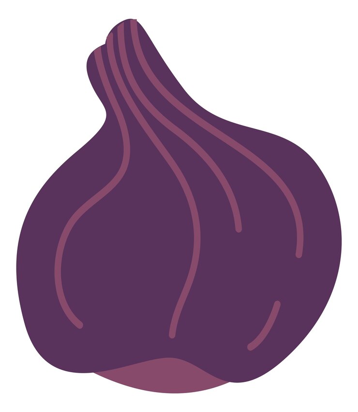 Vector higo, icono, crudo, fresco, asiático, sabroso, fruta