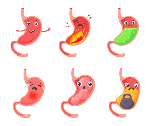 Vector hinchazón gástrica problema estomacal de dibujos animados dolor de abdomen esofágico úlcera indigestión diarrea acidez estomacal concepto médico barriga infantil símbolo de vientre saludable ilustración vectorial ordenada