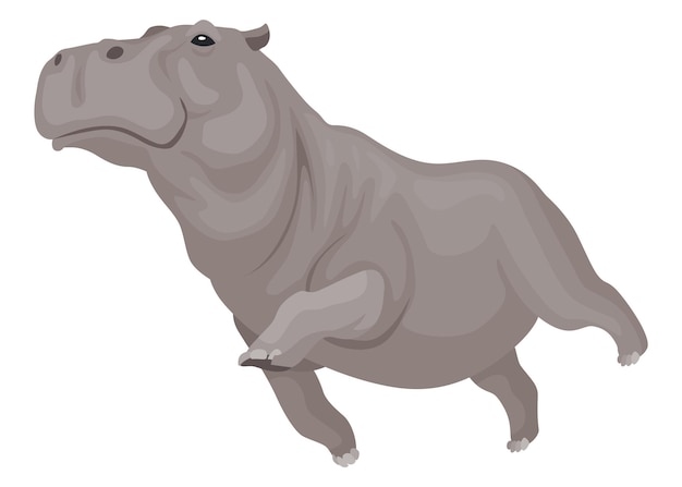 Hipopótamo personaje de dibujos animados de hipopótamo zoológico de animales africanos y concepto de vida silvestre gran criatura salvaje gris caminando sobre fondo blanco