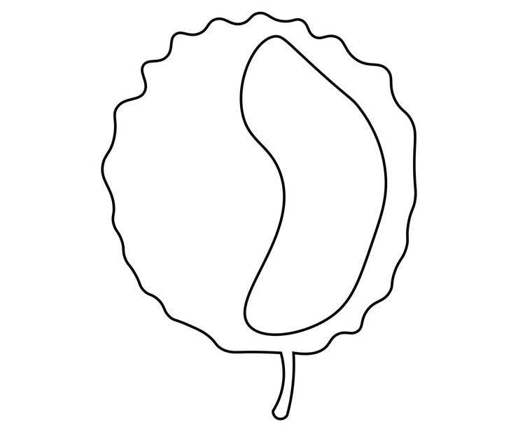 Vector hoja 3
