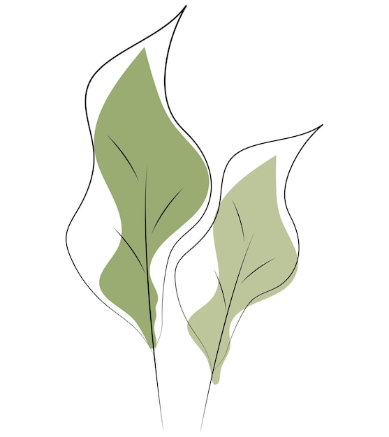 hoja aislada en fondo blanco ilustración de una hoja verde Ilustración vectorial de conjunto de flores Ne