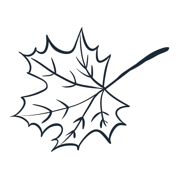 Vector hoja de arce ilustración vectorial con garabatos sobre el tema del otoño acogedor un elemento lindo para tarjetas de felicitación, carteles, pegatinas y diseño estacional aislado en un fondo blanco