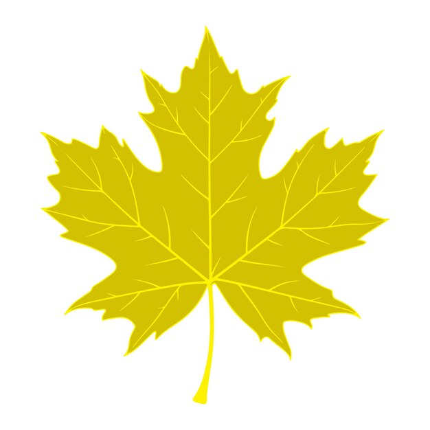 hoja de arce de otoño aislada sobre un fondo blanco