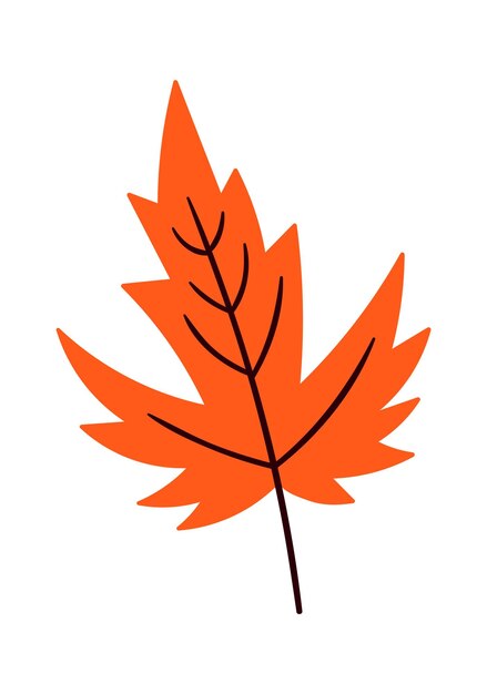 Hoja de arce de otoño