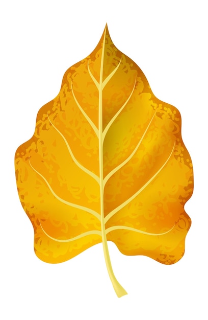 Vector hoja caída de otoño naranja y amarillo follaje realista de otoño bosque y parque 3d elemento botánico aislado aislado estacional hermoso objeto decorativo ilustración vectorial