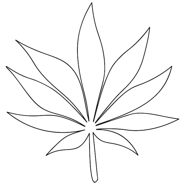 Hoja de cannabis dibujo estilo Doodle La planta se utiliza medicinalmente cultivo agrícola cáñamo