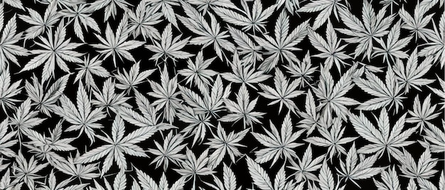 Hoja de cannabis de patrones sin fisuras medicina marihuana textre cannabis medicinal signo legalizar símbolo profundo