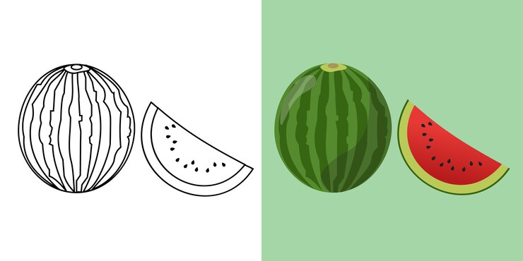 Vector hoja de colorear de frutas