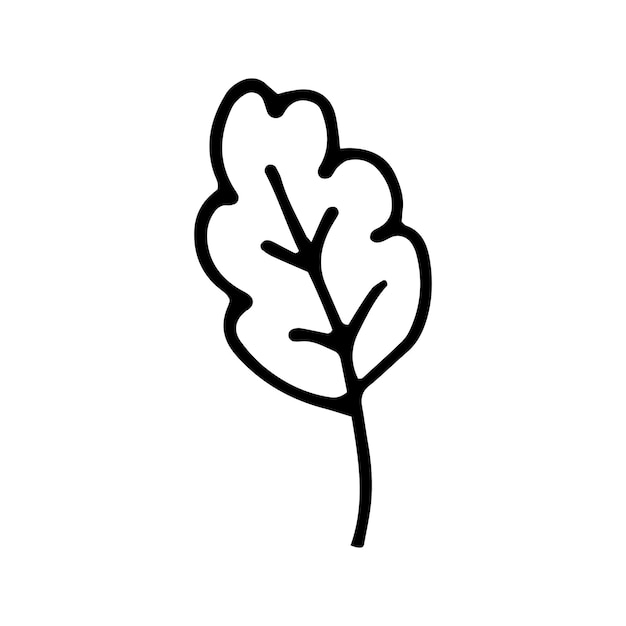 Hoja dibujada a mano única para decoración de invierno y otoño. Ilustración de vector de Doodle. Aislado sobre fondo blanco
