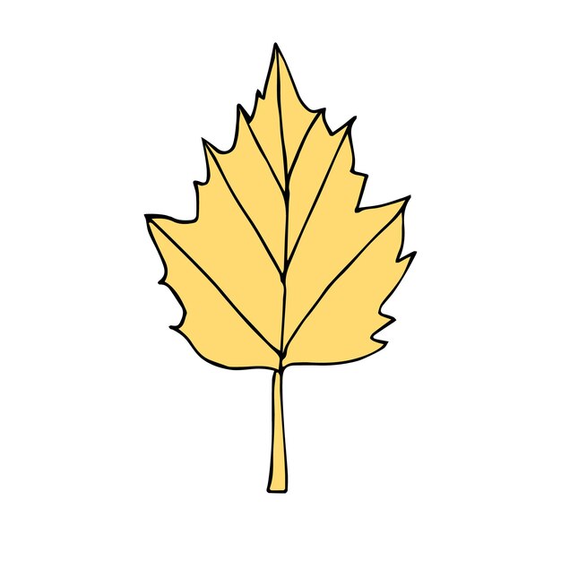 Hoja dibujada a mano