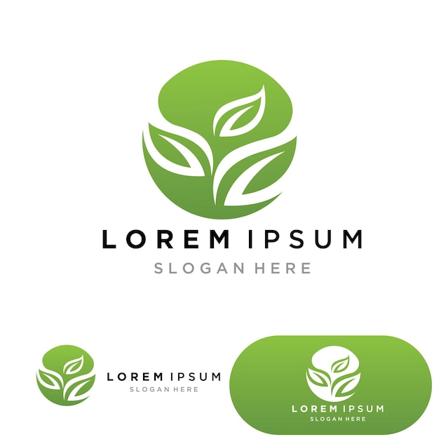 Hoja ecología naturaleza elemento vector iconos