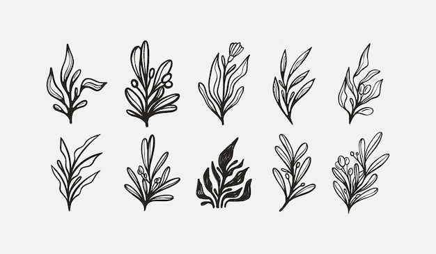 Hoja Flor Árbol monoline Universal creativo premium símbolo Vector icono de signo plantilla de logotipo Ilustración vectorial