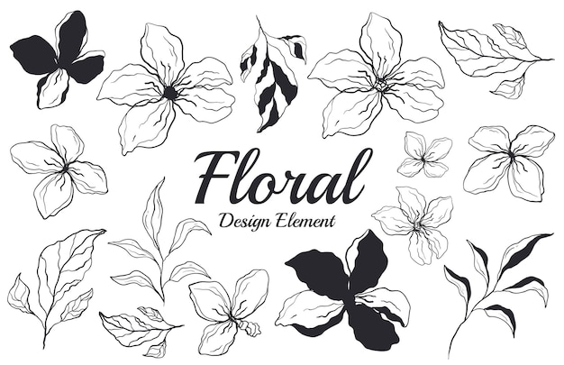 Hoja flor floral marco ornamento aislado conjunto diseño gráfico ilustración