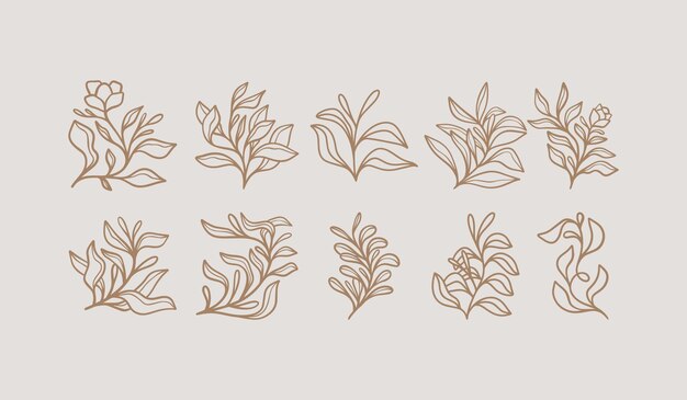 Hoja Flor Planta Dibujado a mano Logo Icono Universal creativo premium símbolo Vector icono de signo plantilla de logotipo Ilustración vectorial