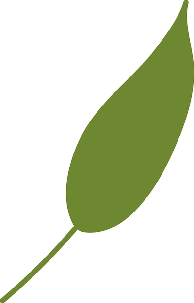 Hoja de flor silvestre dibujada a mano