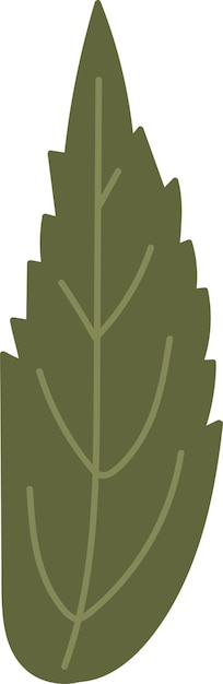 Hoja floral dibujada a mano