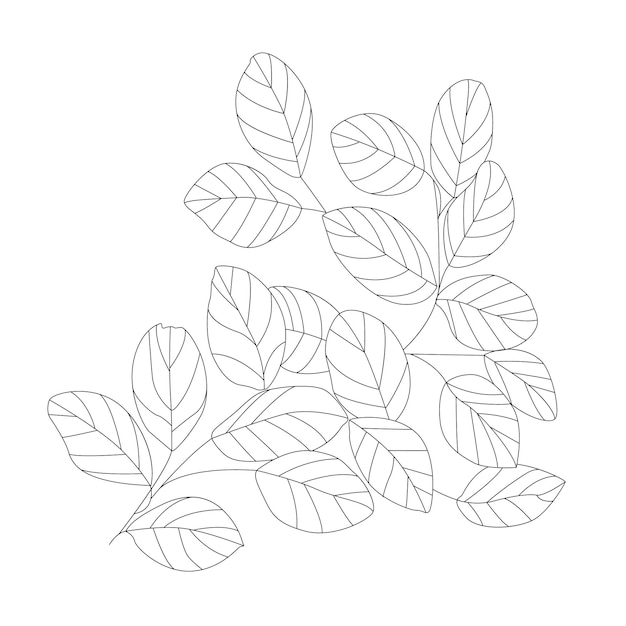 Hoja floral Vector Line Art Descarga gratuita