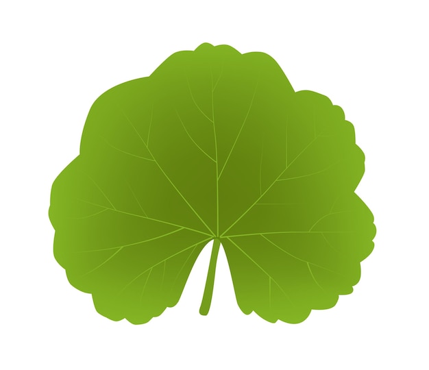 Hoja de geranio con hojas de hiedra con planta de rayas