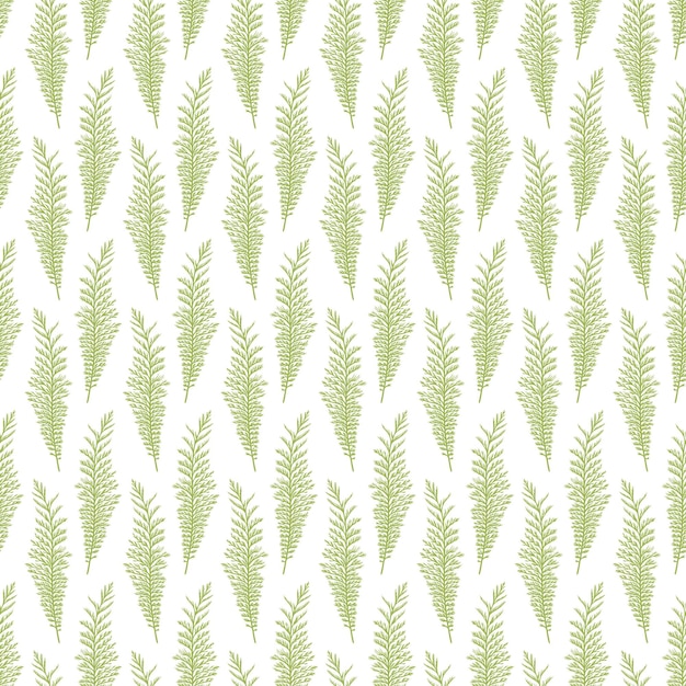 Hoja de hierba en fondo de patrones sin fisuras elementos de diseño botánico telón de fondo papel tapiz envoltura minimalista