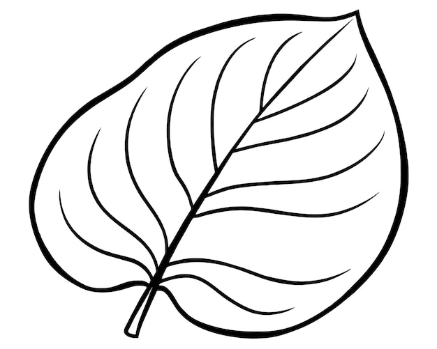 una hoja con una línea a través de ella que tiene una hoja dibujada en ella