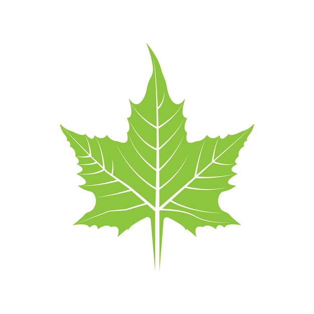 Hoja, logotipo, vector