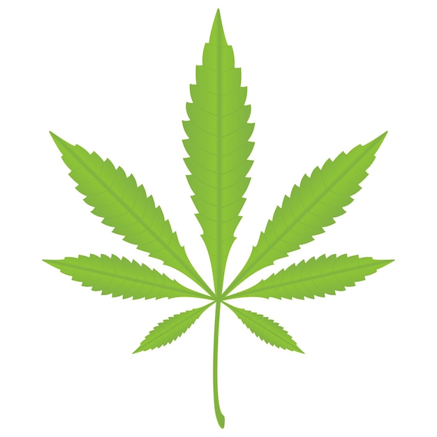 Hoja de marihuana aislada sobre fondo blanco Ilustración vectorial