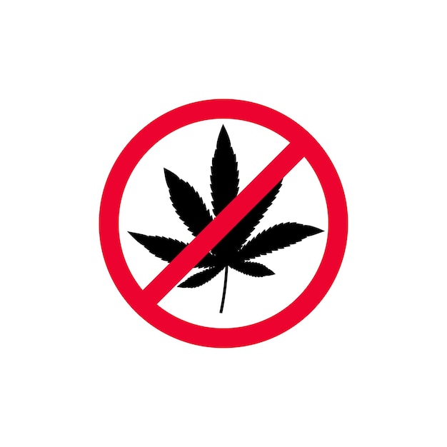 Hoja de marihuana Hoja de cannabis medicinal aislada sobre fondo blanco