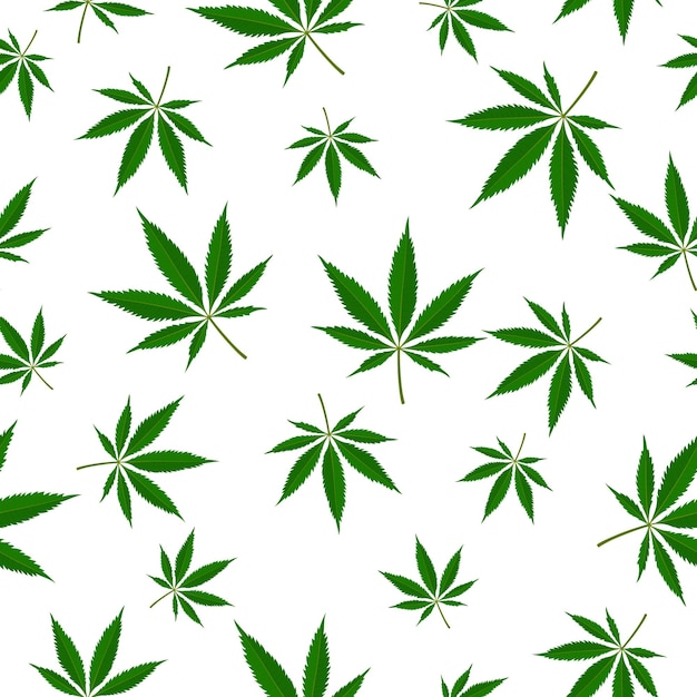 Hoja de marihuana de patrones sin fisuras Planta de cannabis medicinal Herbal indica sativa Fondo de cáñamo natural Adicción humo drogas de malas hierbas Estupefaciente ilegal Ilustración vectorial