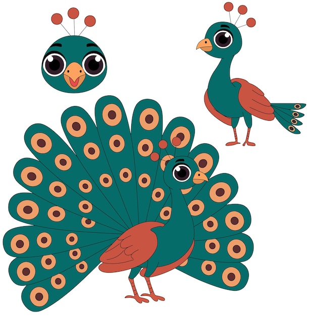 Una hoja modelo de dibujos animados de pavo real