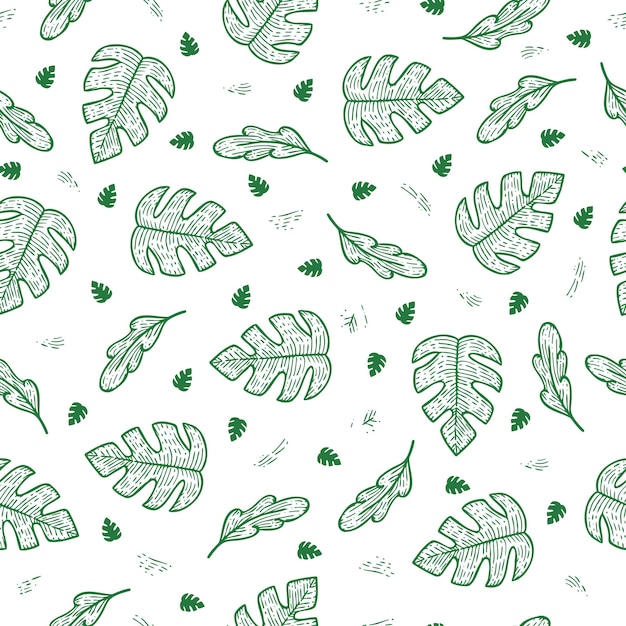 Hoja de monstera garabato patrón ecológico verde transparente para fondo de embalaje o decoración