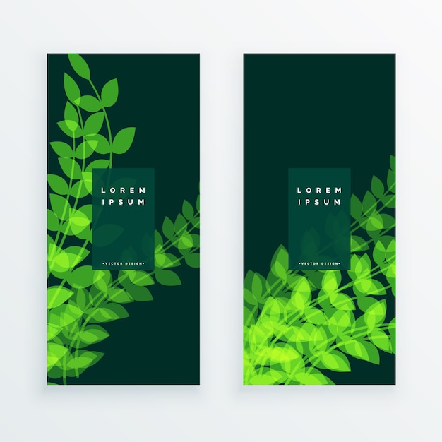hoja de la naturaleza verticle tarjeta de la bandera