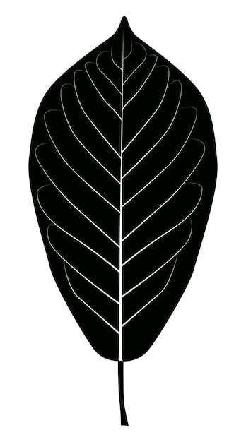 Vector hoja negra del cerezo blanco prunus padus