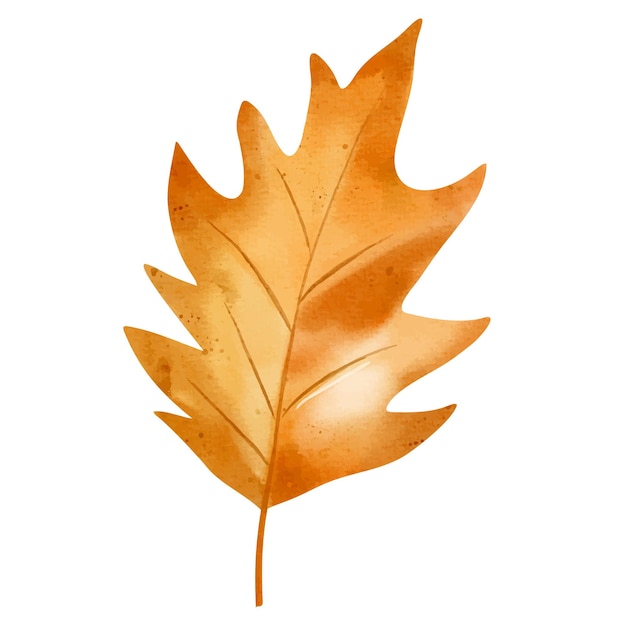 Hoja de otoño de acuarela pintada a mano elemento de follaje de otoño para carteles de diseño estacional tarjetas o invitaciones