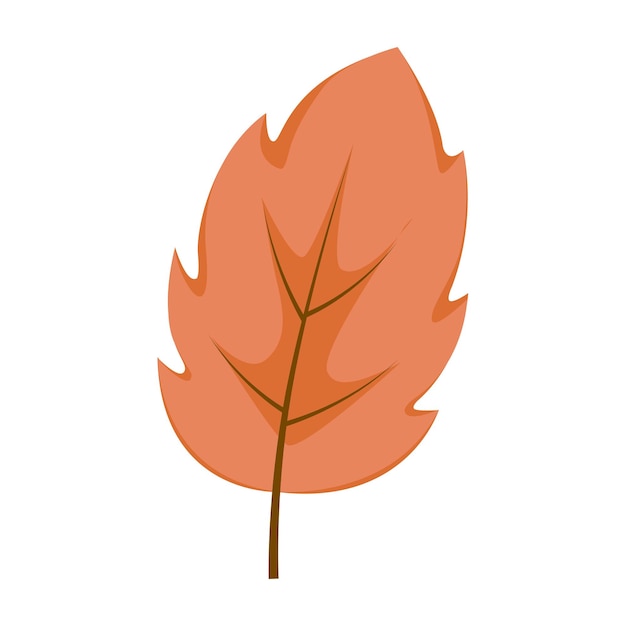 hoja de otoño aislada sobre fondo blanco