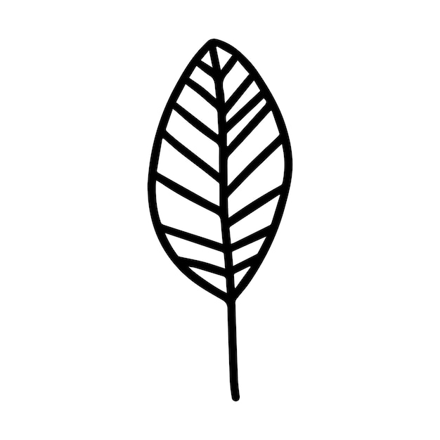 hoja de otoño dibujada a mano aislada en el icono de fondo blanco hoja de Otoño de garabateo lindo para el diseño estacional