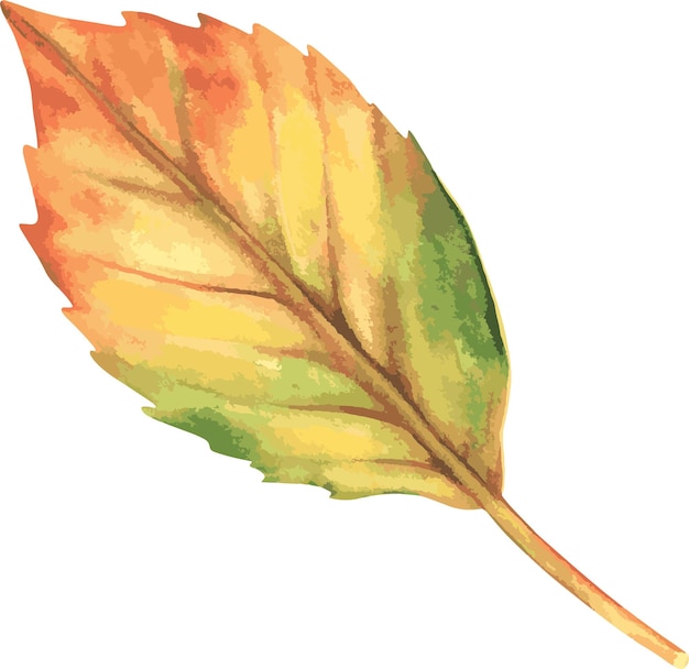 Vector hoja de otoño ilustración acuarela