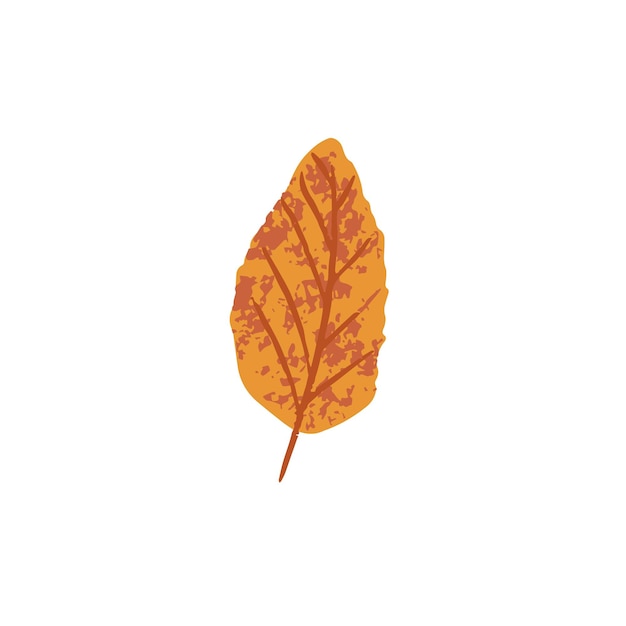 Hoja de otoño seca Hojas de árboles de follaje de otoño Hojas otoñales marrones de septiembre y octubre Ilustración de vector plano botánico moderno aislada sobre fondo blanco