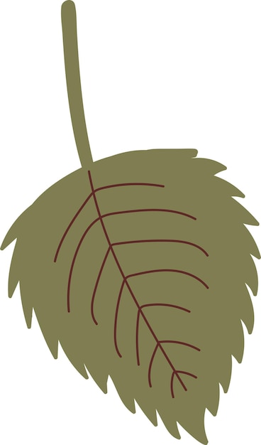 Hoja de otoño simple en color verde Elemento de diseño de otoño Ilustración vectorial