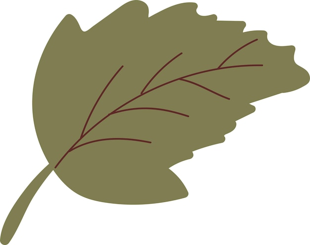 Hoja de otoño simple en color verde Elemento de diseño de otoño Ilustración vectorial
