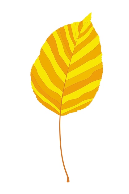 Vector hoja de otoño sobre un fondo blanco.