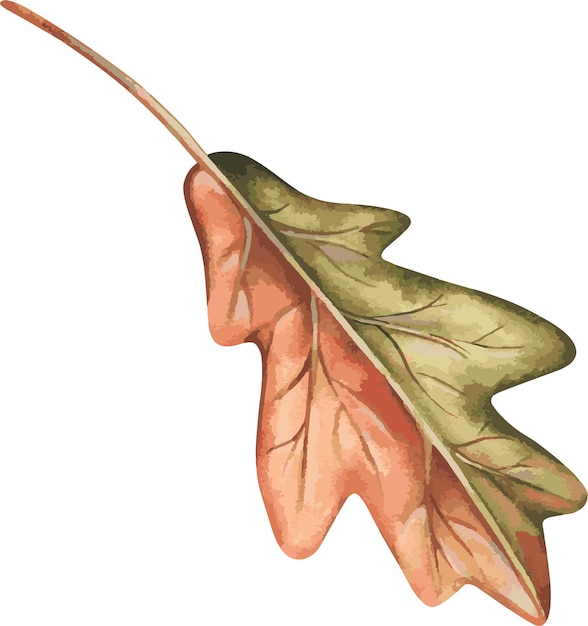 hoja de otoño vector