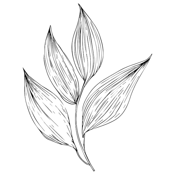 Una hoja con la palabra amor en ella, dibujos de hojas, dibujo de hojas, arte, diseño de hojas.