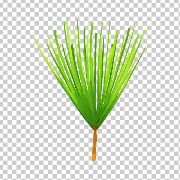 hoja de palma dibujo una hoja de palma png clipart