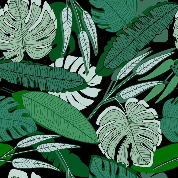Hoja de palma de la selva sin patrón. Fondo de pantalla de hojas de palma tropical.
