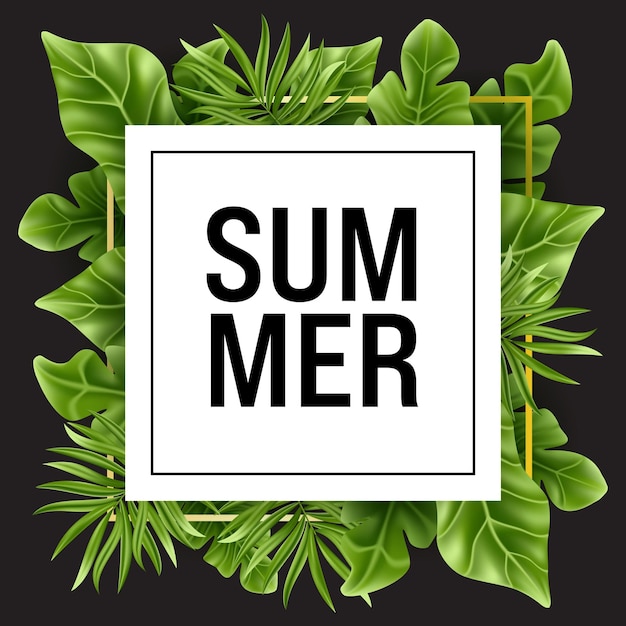 Hoja de palma tropical aislada sobre fondo blanco y negro Banner de planta de verano verde realista Vector