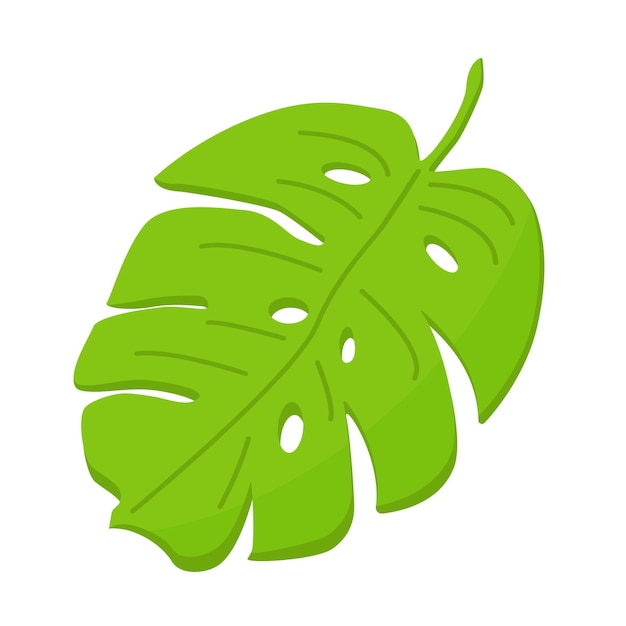 Hoja de palma verde en estilo de dibujos animados